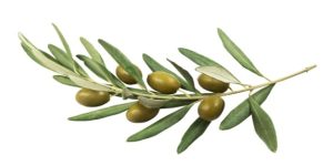 äáíµñÿ26 äáíµñÿ26